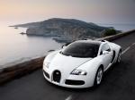 Bugatti Veyron 16.4 Grand Sport Roadster 2008 года